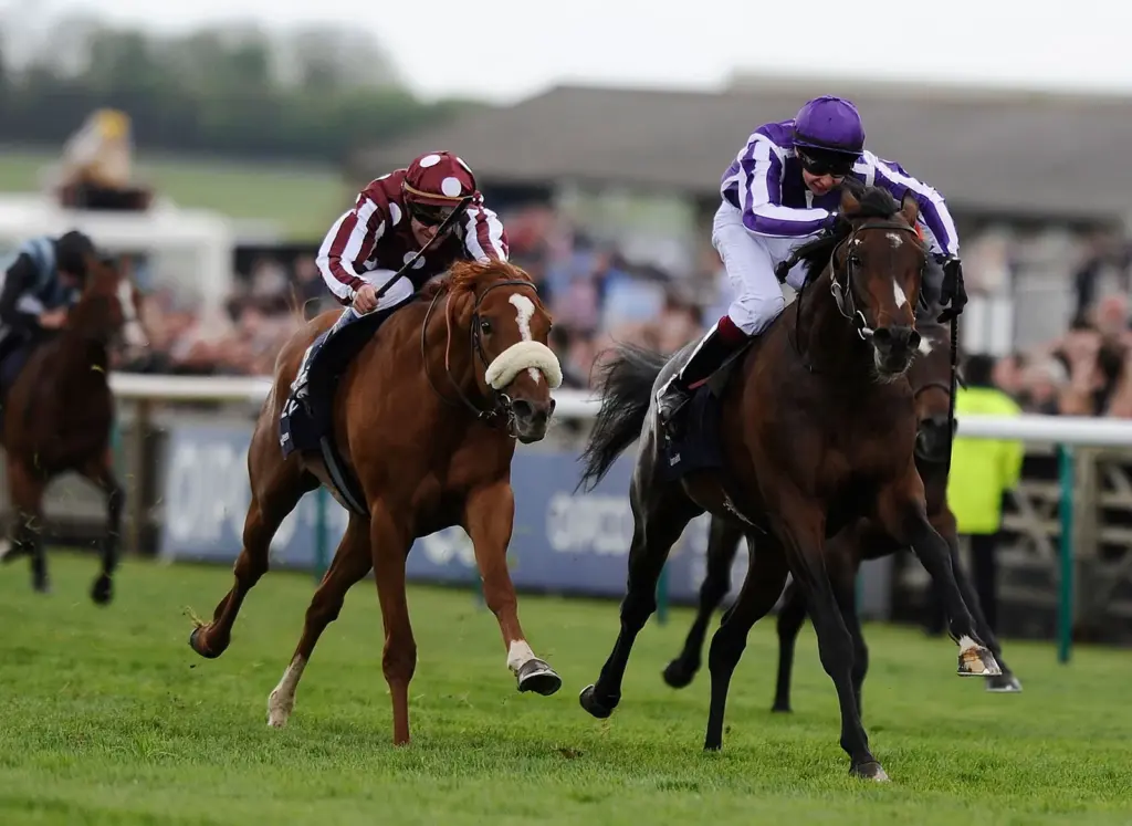 Horse Racing Betting