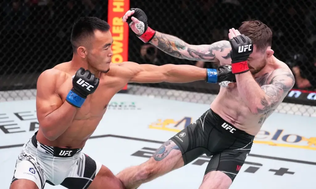 UFC Betting